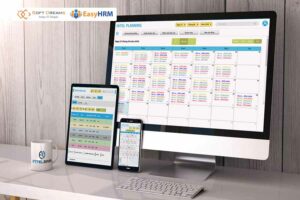 Nên chọn phần mềm quản lý nhân sự hrm phù hợp với quy mô công ty