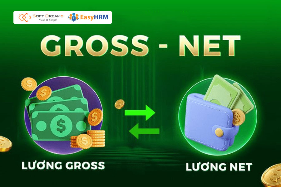Hướng dẫn cách tính lương Gross sang Net