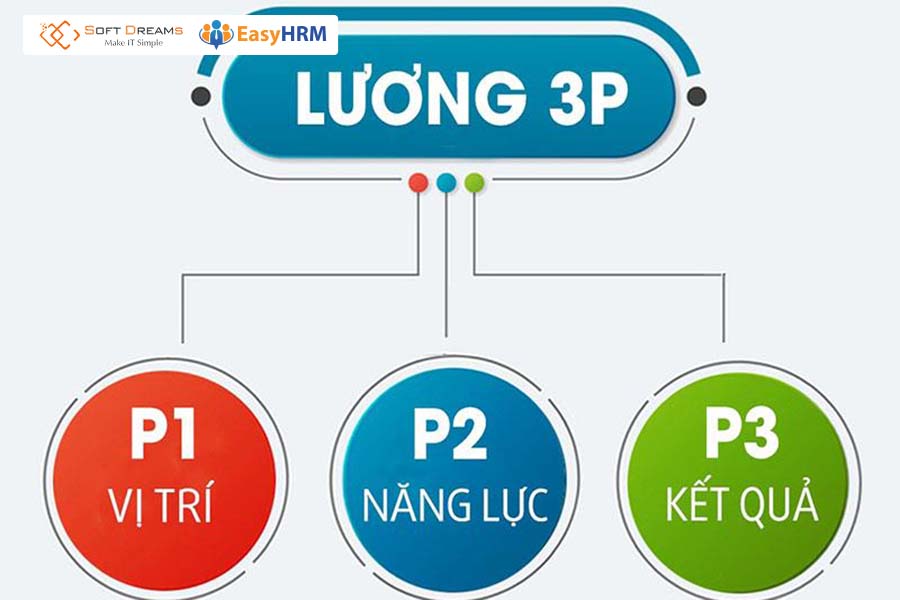 Trả lương theo hình thức 3P