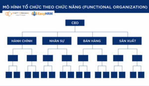 Mô hình theo chức năng chuyên môn