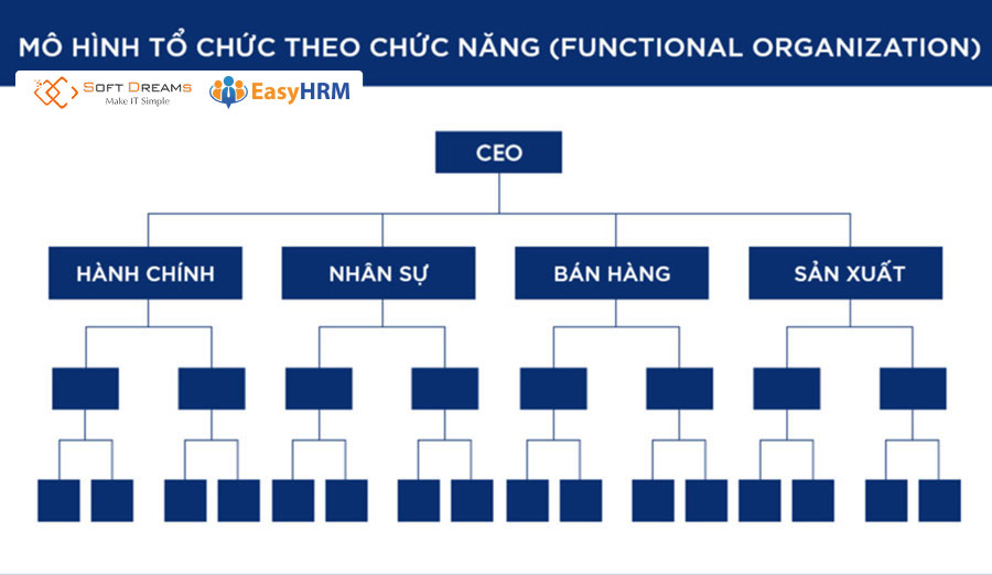 Mô hình theo chức năng chuyên môn