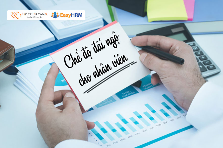 Quản lý nhân sự cần làm gì? Xây dựng chế độ đãi ngộ cho nhân viên