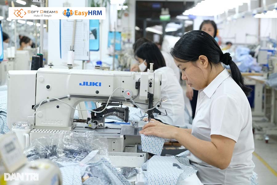 Trả lương theo năng suất