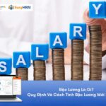 Bậc Lương Là Gì? Quy Định Và Cách Tính Bậc Lương Mới Nhất 2025