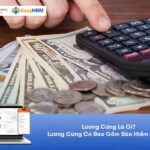 Lương Cứng Là Gì? Lương Cứng Có Bao Gồm Bảo Hiểm Không?