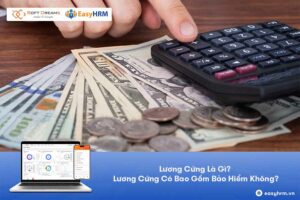 Lương cứng là gì? Lương cứng có gồm bảo hiểm không?