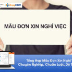 Tổng Hợp Mẫu Đơn Xin Nghỉ Việc Chuyên Nghiệp, Chuẩn Luật, Dễ Tùy Chỉnh
