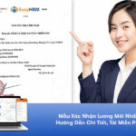 Mẫu Xác Nhận Bảng Lương Mới Nhất: Hướng Dẫn Chi Tiết, Tải Miễn Phí