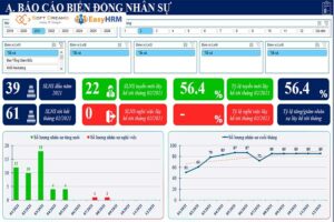 Phần mềm HR giúp báo cáo nhân sự trực quan, dễ theo dõi