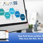 Quy Trình Quản Lý Nhân Sự: Hiệu Quả, Bài Bản, Tối Ưu