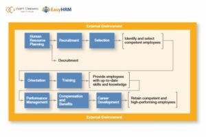 Sơ đồ quản lý nhân sự