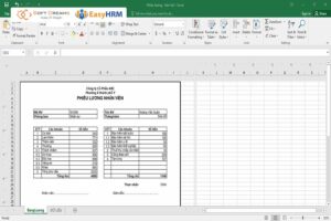 Bảng lương Excel là gì?