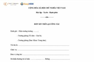 Mẫu đơn xin đi làm lại sau khi nghỉ không lương mới nhất 2025