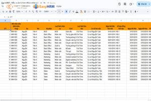 Mẫu file Excel theo dõi hợp đồng nhân sự