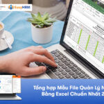Top 10 Mẫu File Quản Lý Nhân Sự Bằng Excel Dễ  [Miễn Phí Tải Về]
