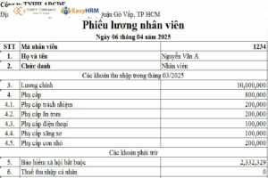 Mẫu phiếu lương cho từng nhân viên Excel là gì?