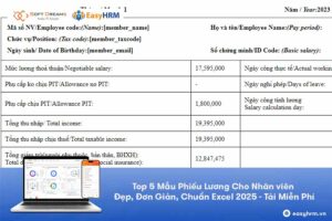 Tổng hợp các mẫu phiếu lương cho nhân viên chuyên nghiệp, bài bản, hiệu quả