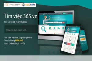 Website tìm việc miễn phí 365