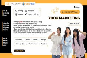 Website tuyển dụng dành cho sinh viên Ybox