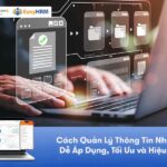 Hướng Dẫn Cách Quản Lý Thông Tin Nhân Sự Dễ Áp Dụng, Tối Ưu và Hiệu Quả