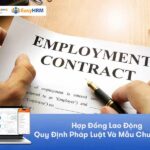 Hợp Đồng Lao Động: Quy Định Pháp Luật Và Mẫu Chuẩn Luật