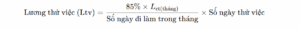 Cong-thuc-tinh-luong-thu-viec
