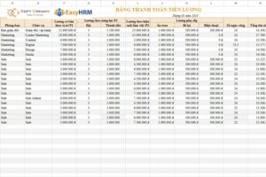 Mẫu quản lý lương theo mô hình 3P