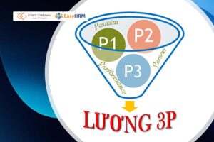 Mô hình lương 3P ngày càng được nhiều đơn vị áp dụng