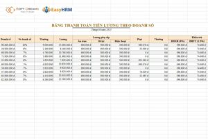 Mẫu bảng tính lương theo doanh thu 