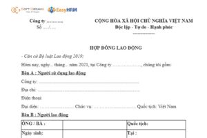 Mẫu hợp đồng cho nhân viên kinh doanh