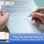 Tổng Hợp Mẫu Hợp Đồng Lao Động Chính Xác, Chuẩn Chỉnh [Tải Về Miễn Phí]