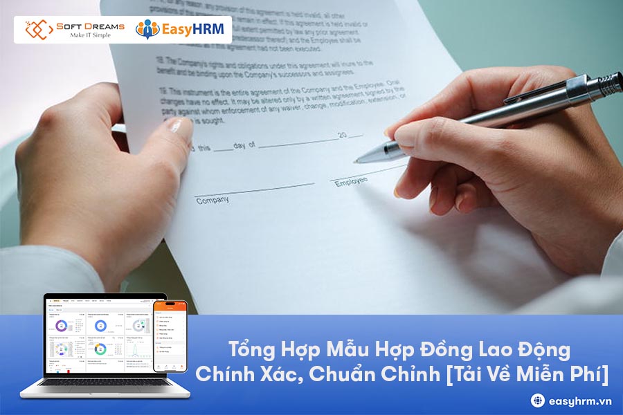 Tổng Hợp Mẫu Hợp Đồng Lao Động Chính Xác, Chuẩn Chỉnh [Tải Về Miễn Phí]