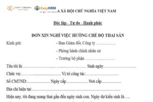 Những nội dung cần có trong đơn xin nghỉ thai sản