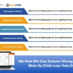 Mô hình 5Ps Của Schuler: Khung quản trị chiến lược nhân sự toàn diện