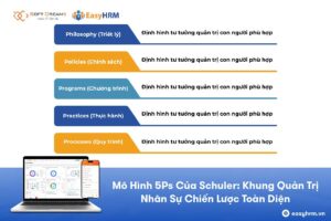 Mô hình 5Ps Của Schuler: Khung quản trị chiến lược nhân sự toàn diện
