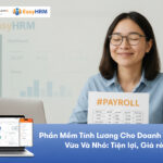 Phần mềm tính lương cho doanh nghiệp vừa và nhỏ [CÓ DÙNG THỬ]