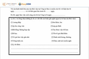 Lý do nghỉ việc nên rõ ràng và lịch sự