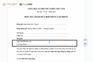 Thông tin hợp đồng