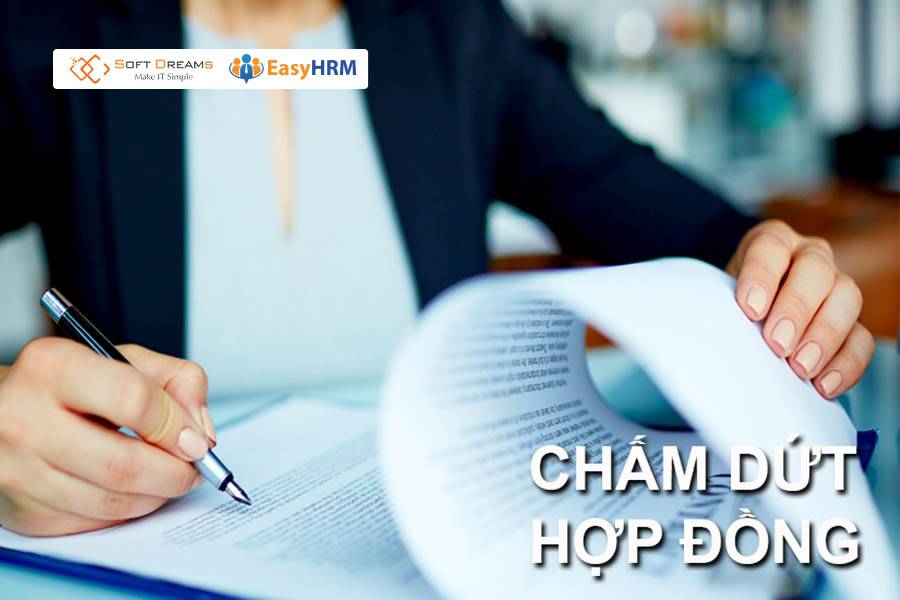 Các trường hợp chấm dứt hợp đồng lao động