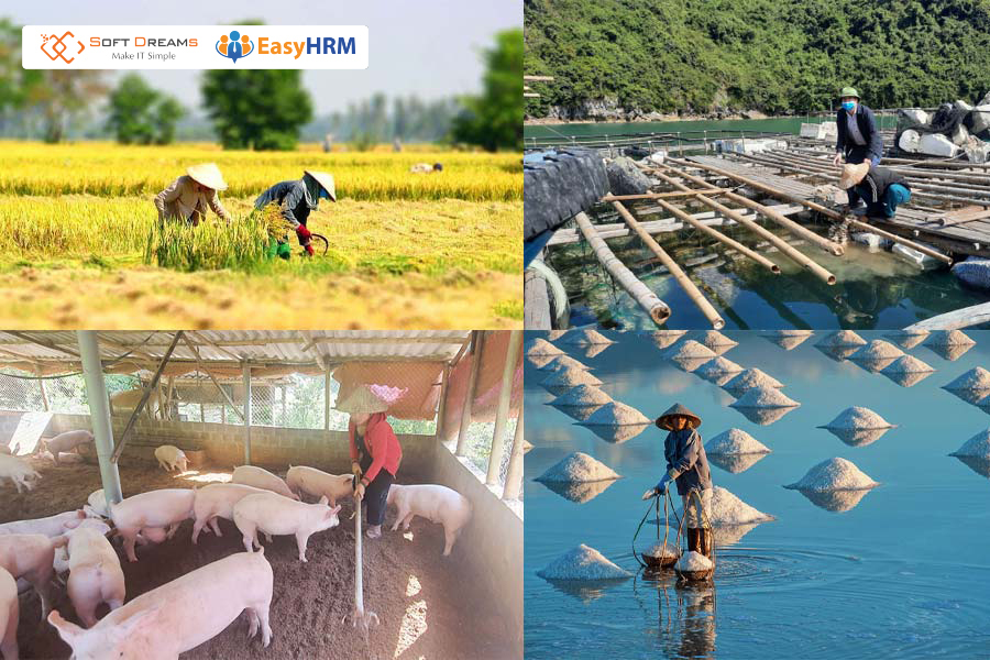 Thu nhập từ sản xuất nông – lâm – thủy sản của hộ, cá nhân thuộc diện không phải nộp thuế