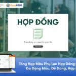 Tổng hợp mẫu phụ lục hợp đồng lao động: Đa dạng mẫu, dễ dùng, chuẩn luật