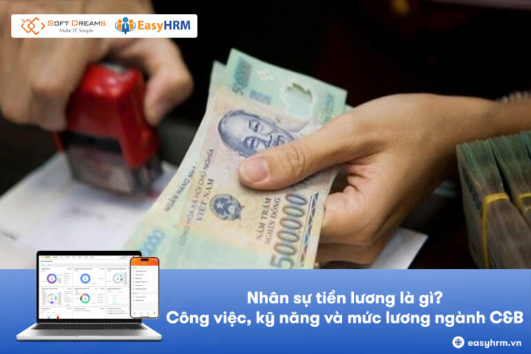 Nhân sự tiền lương là gì? Công việc, kỹ năng và mức lương ngành C&B
