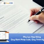 Phụ lục hợp đồng: Quy định pháp luật, Quy trình ký cần biết