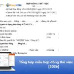 Tổng hợp mẫu hợp đồng thử việc mới nhất [2026]