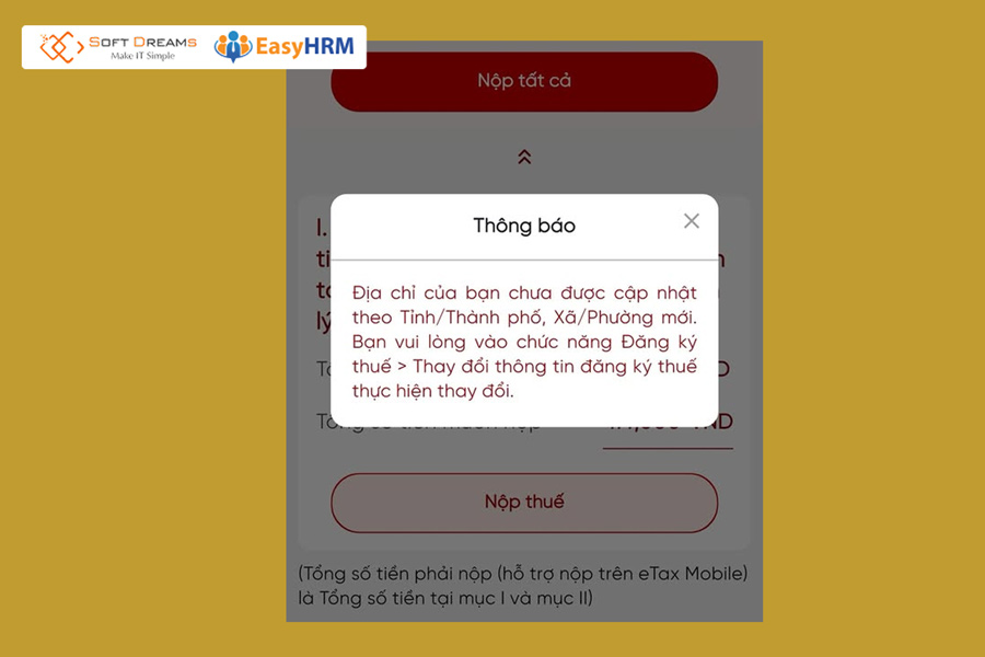 Lỗi chưa cập nhật địa chỉ theo tỉnh/thành mới trên eTax Mobile