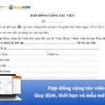 Hợp đồng cộng tác viên: Quy định, thời hạn và mẫu mới nhất