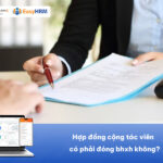 Hợp đồng cộng tác viên có phải đóng bhxh không?