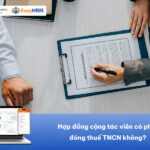 Hợp đồng cộng tác viên có phải đóng thuế TNCN không?