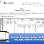 Báo cáo tình hình sử dụng lao động 2026: Quy định, mẫu và cách nộp chi tiết