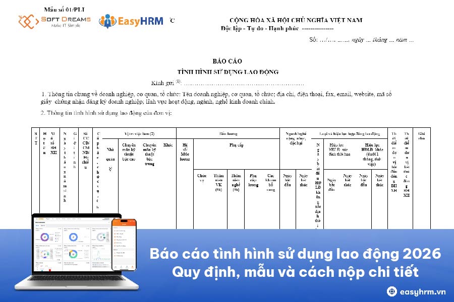 Báo cáo tình hình sử dụng lao động 2026: Quy định, mẫu và cách nộp chi tiết